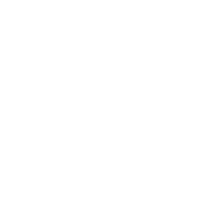 ASIC-Change-Director