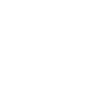 Virtual-CFO